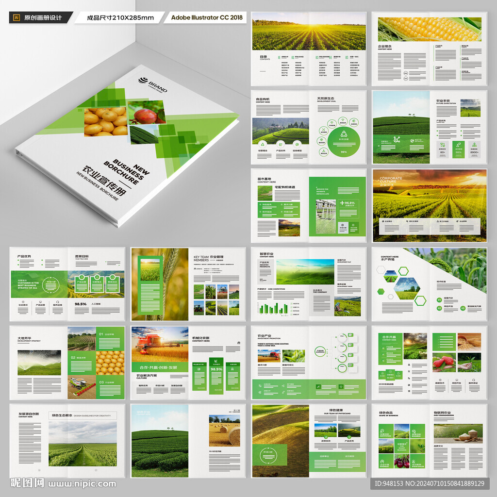 农产品画册
