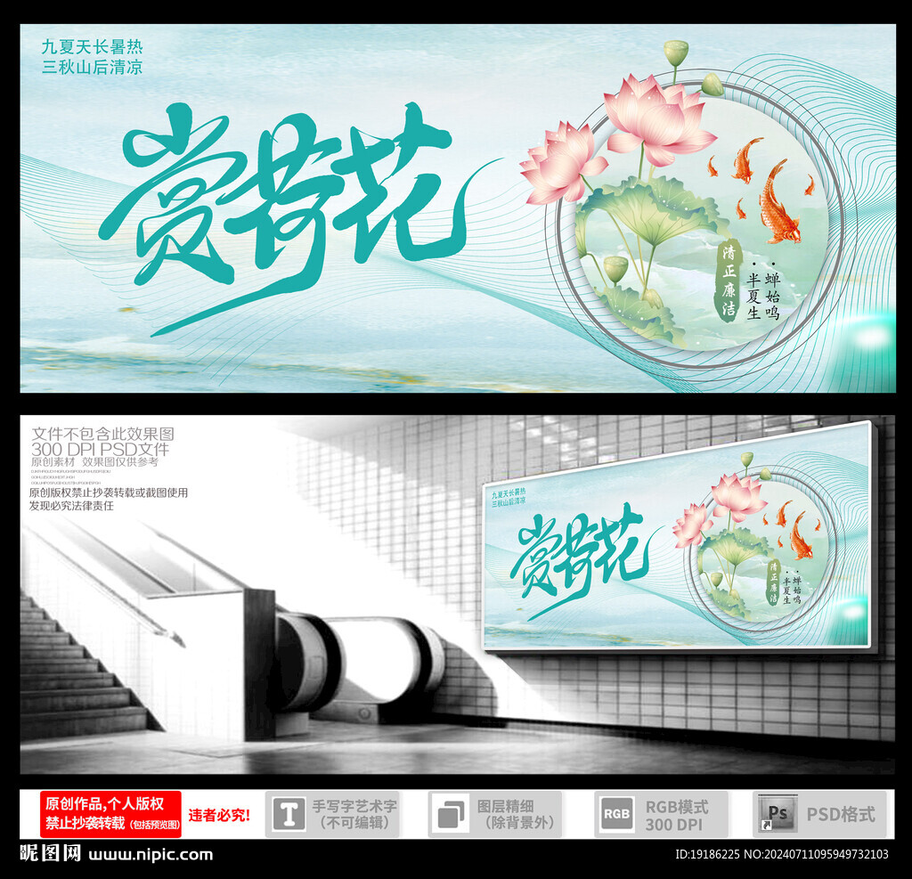 赏荷花