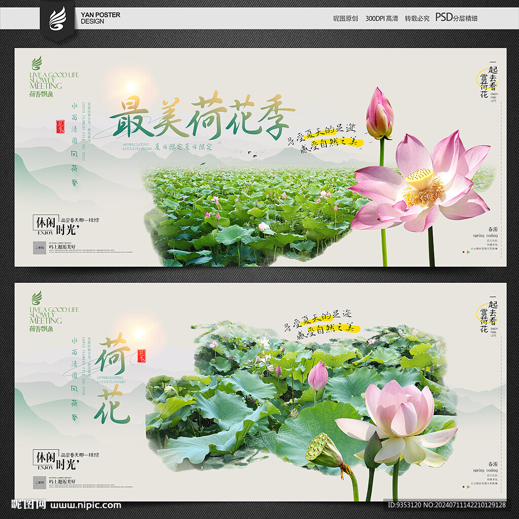 荷花