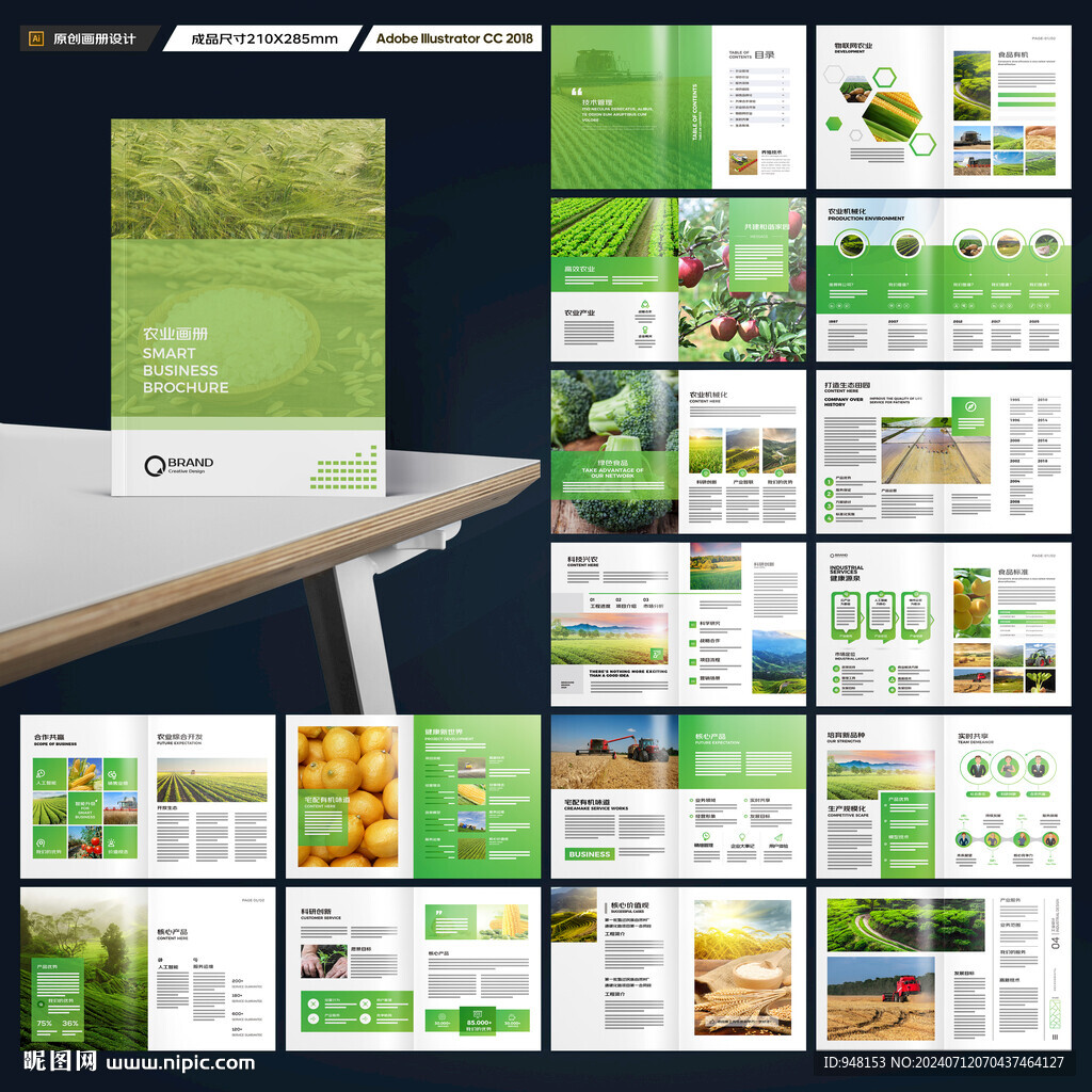 农产品宣传册