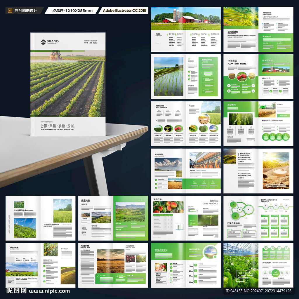 农产品宣传册