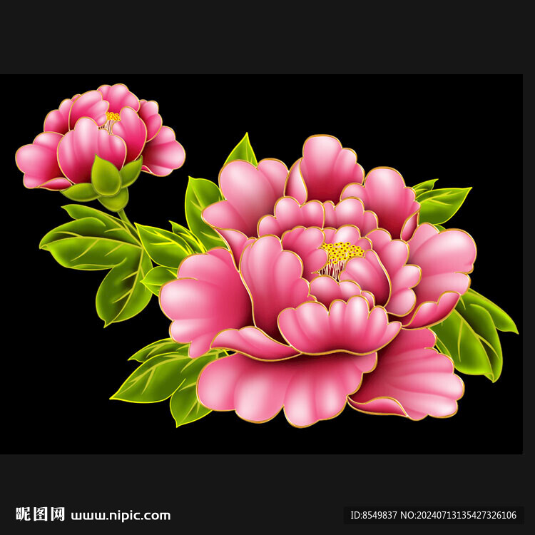 手绘牡丹花