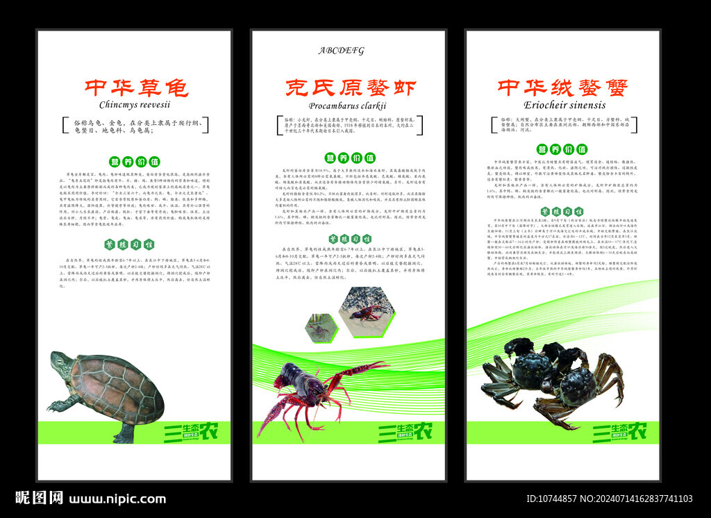 绿色生态农产品海报