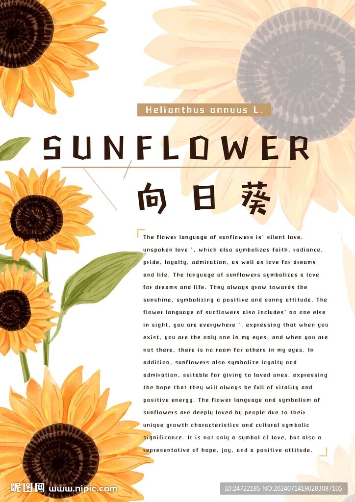 向日葵花卉宣传海报