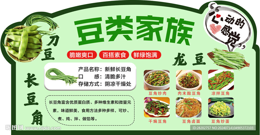 豆类家族