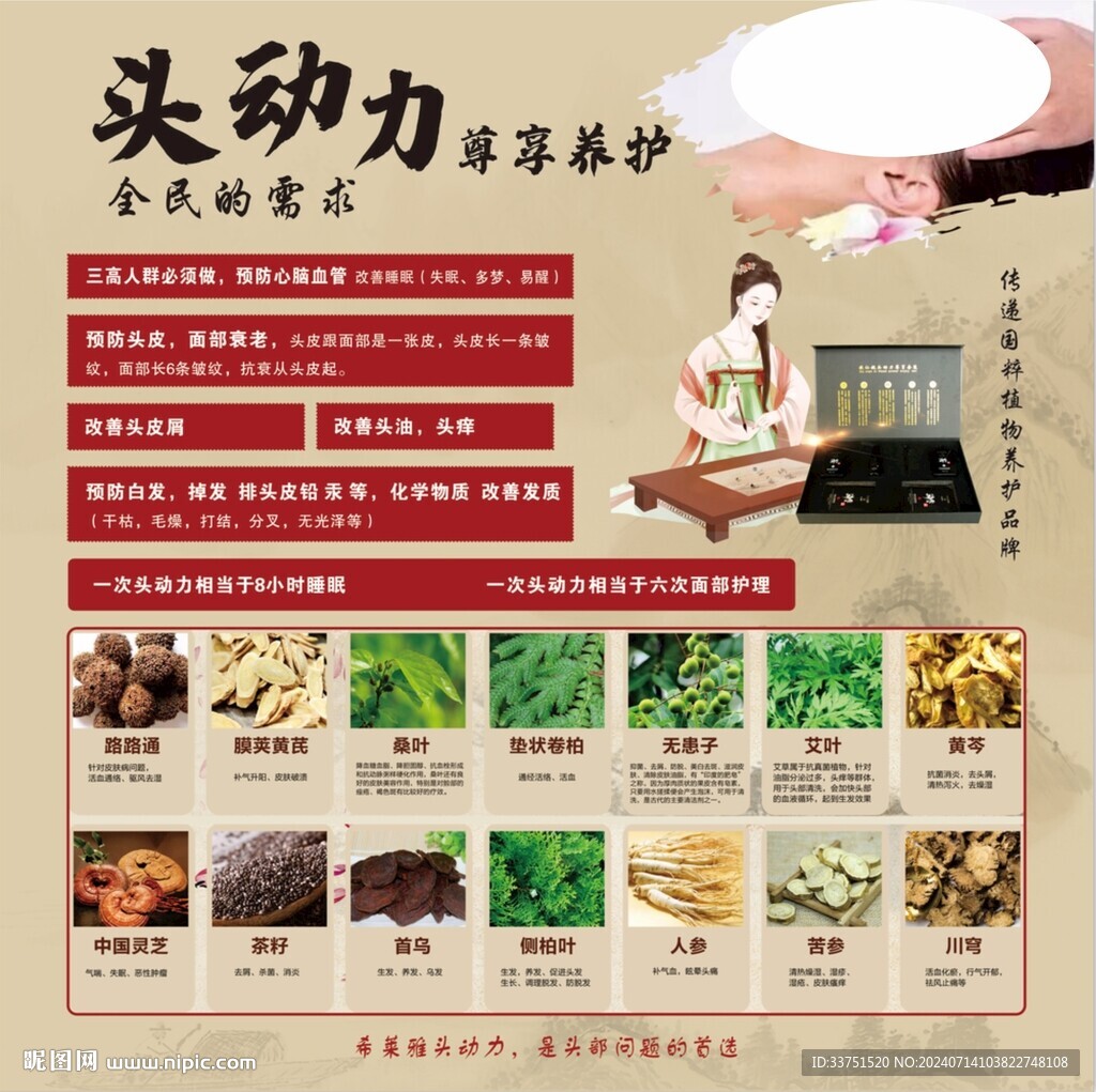 头动力 头疗