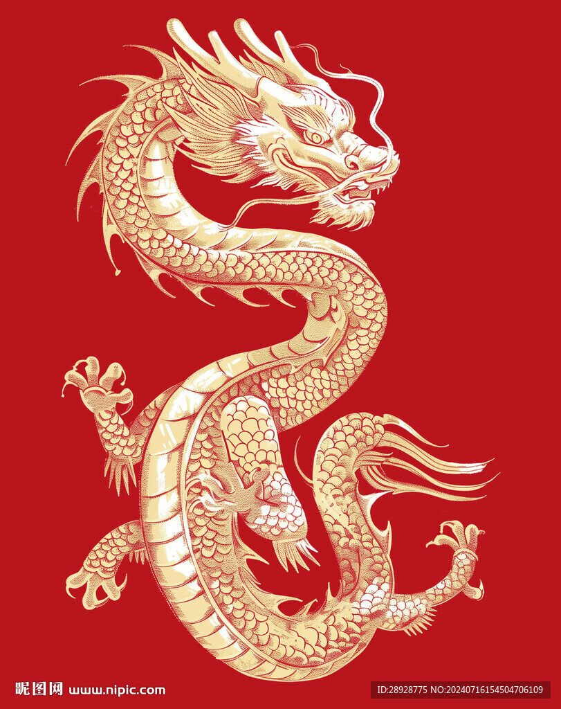 金龙插画