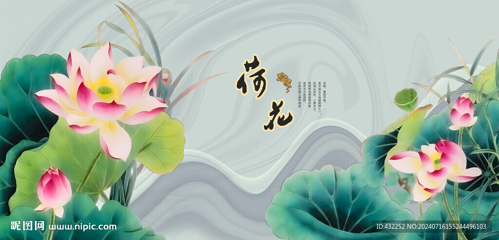荷花