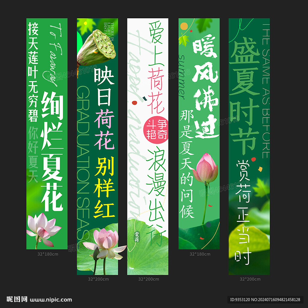 赏荷花