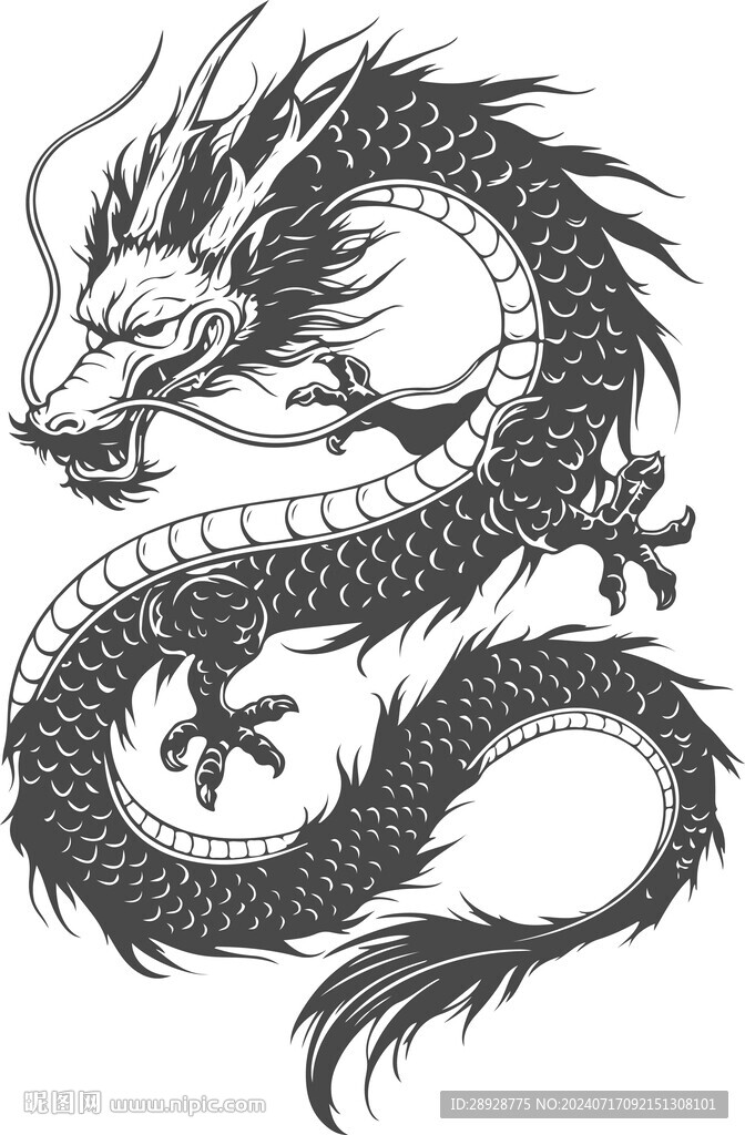 龙图案