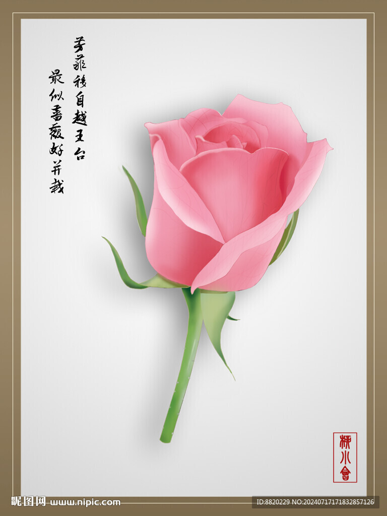 玫瑰花