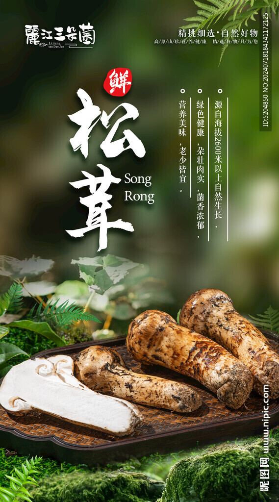 松茸
