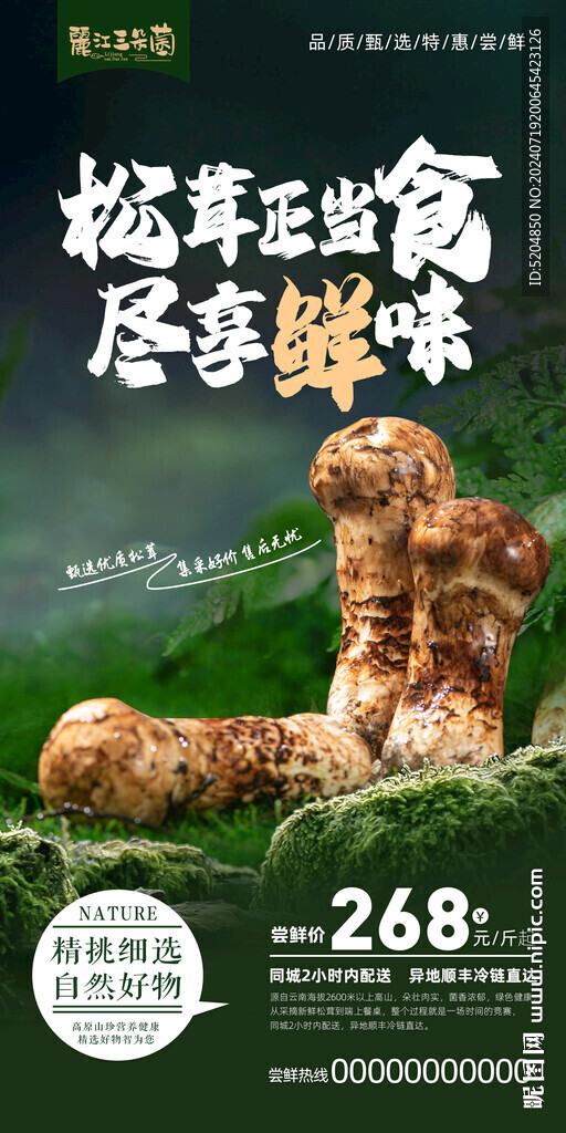 松茸海报