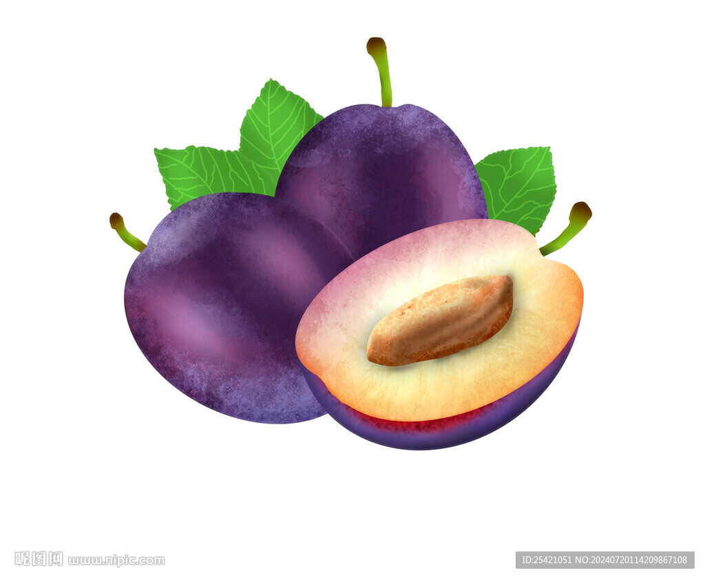 西梅插画素材