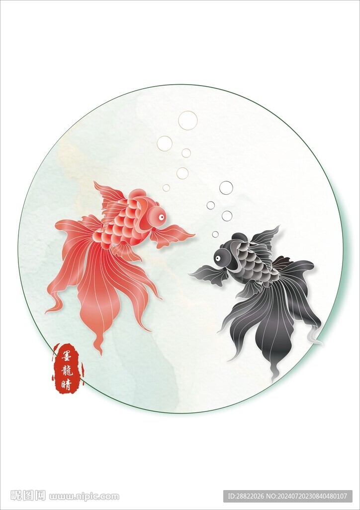 金鱼 黑龙睛