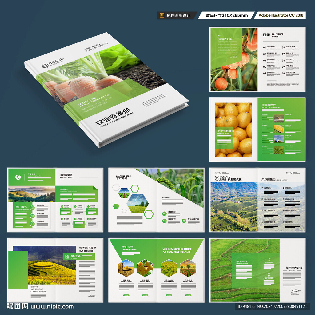农业科技画册