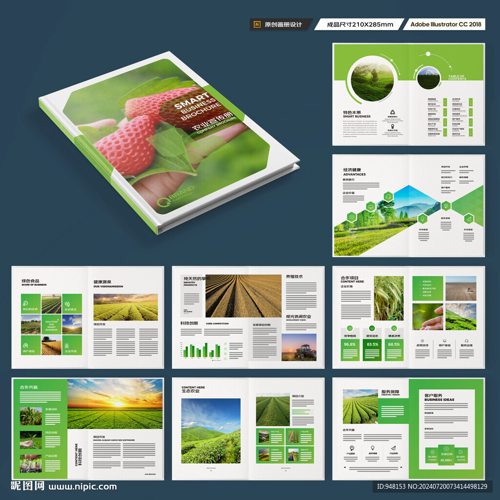 农业合作社画册
