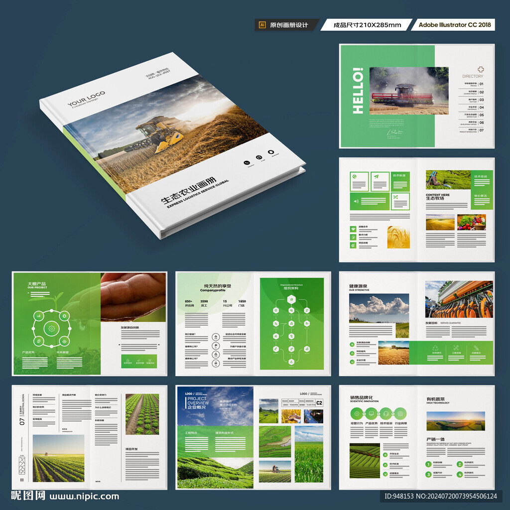 农产品宣传册