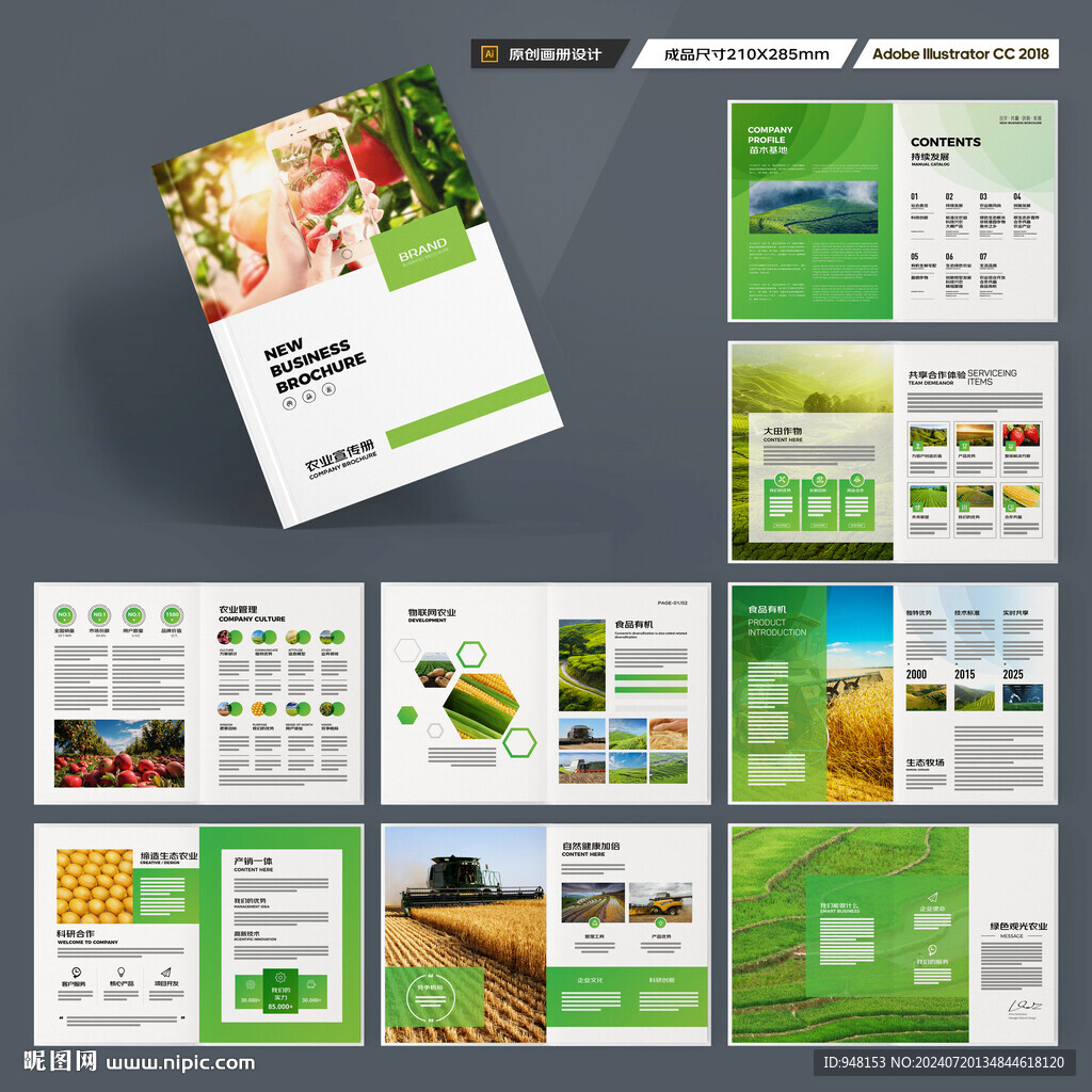 农产品宣传册