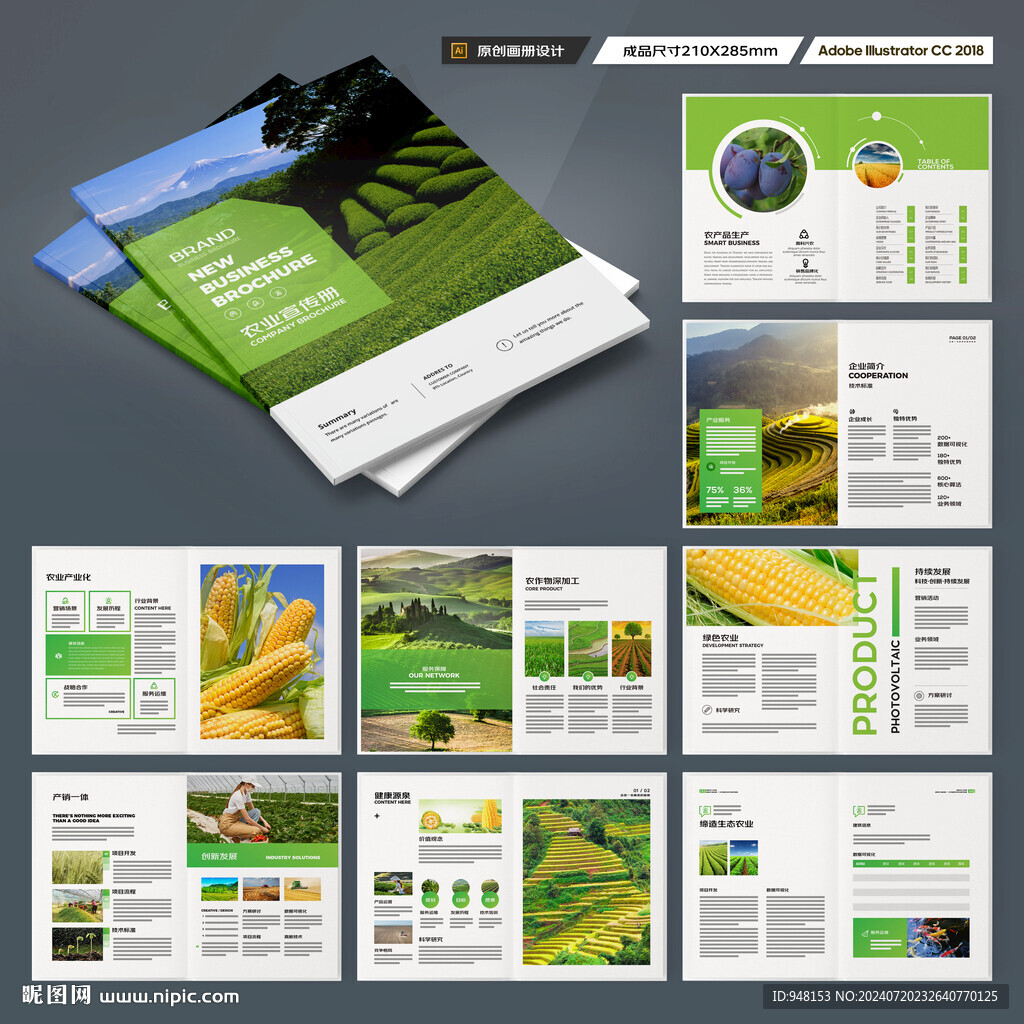 农业合作社画册
