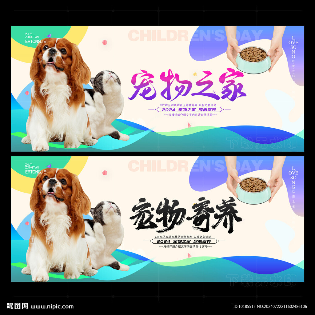 宠物