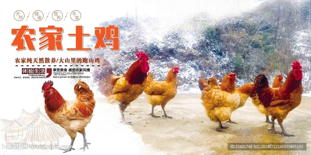 农家土鸡