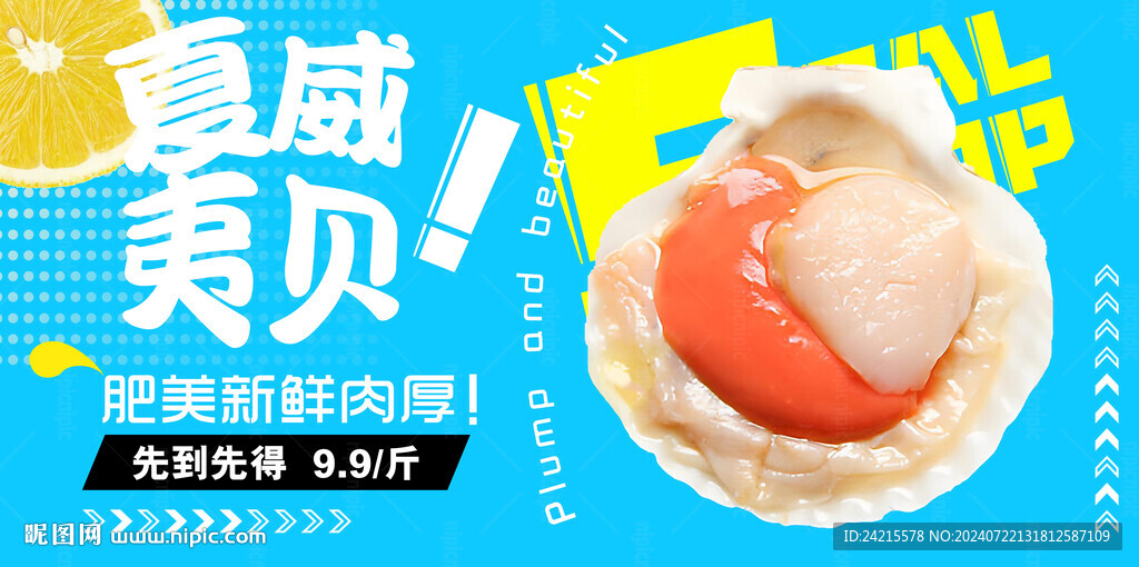 海鲜banner 夏威夷贝