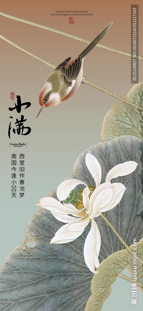 小满 节气