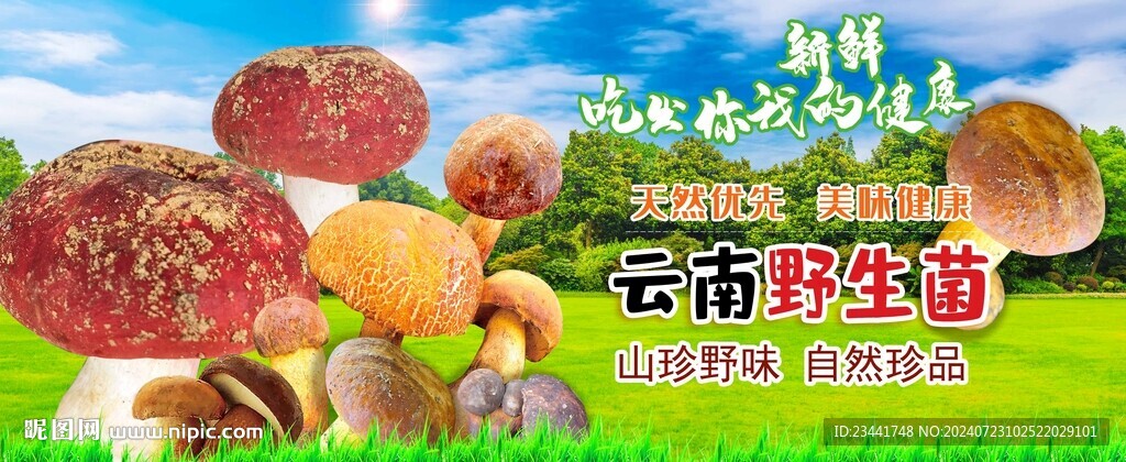 野生菌