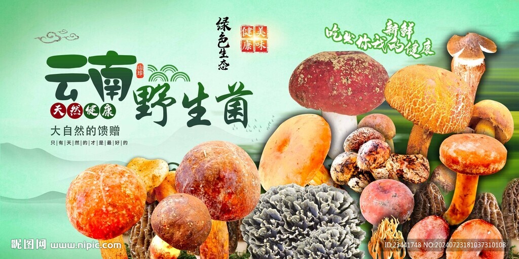 野生菌广告