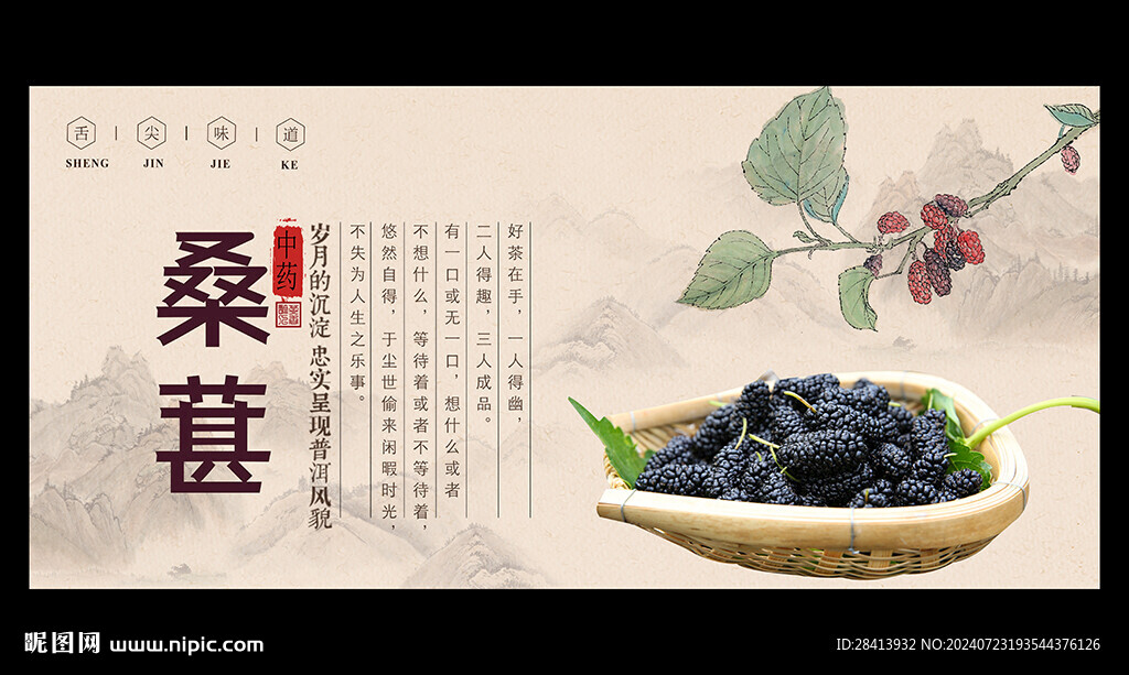 桑葚