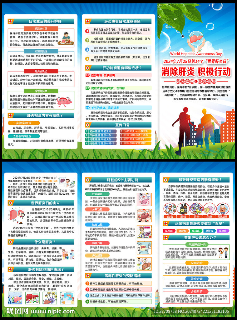 2024年肝炎日宣传手册