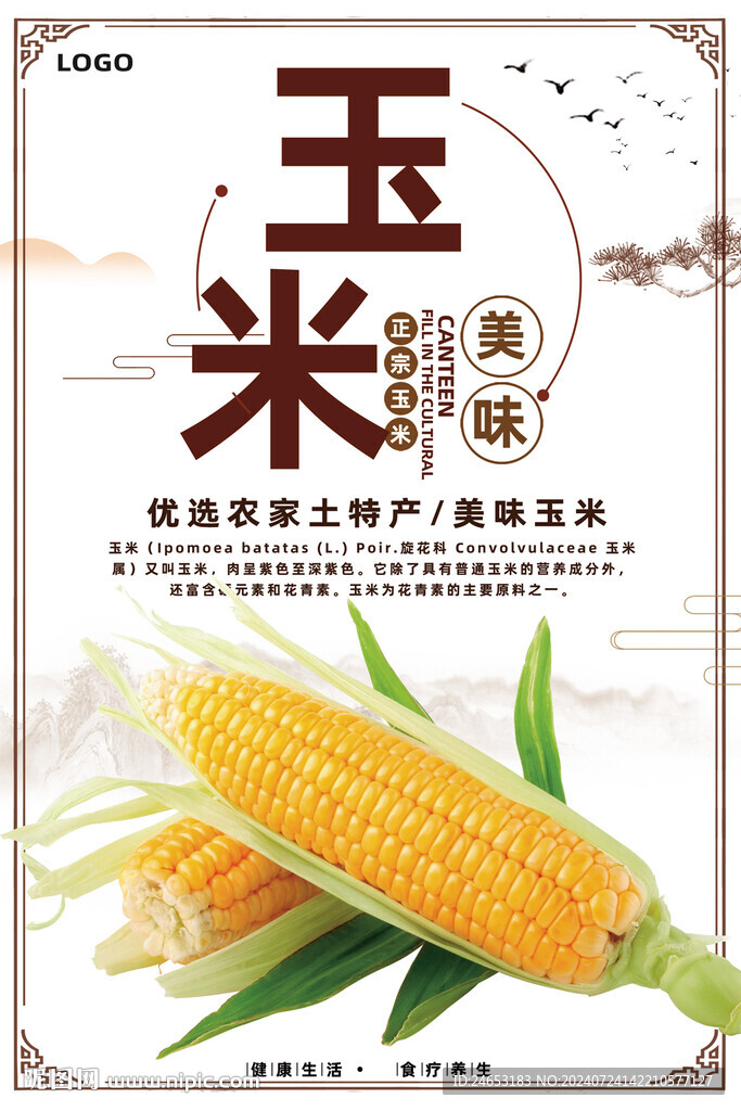 玉米