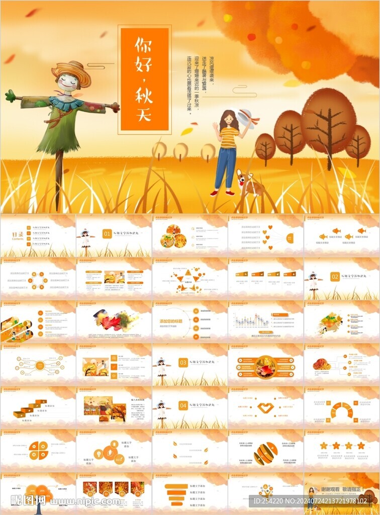 秋天金秋农业产品农场水稻小麦