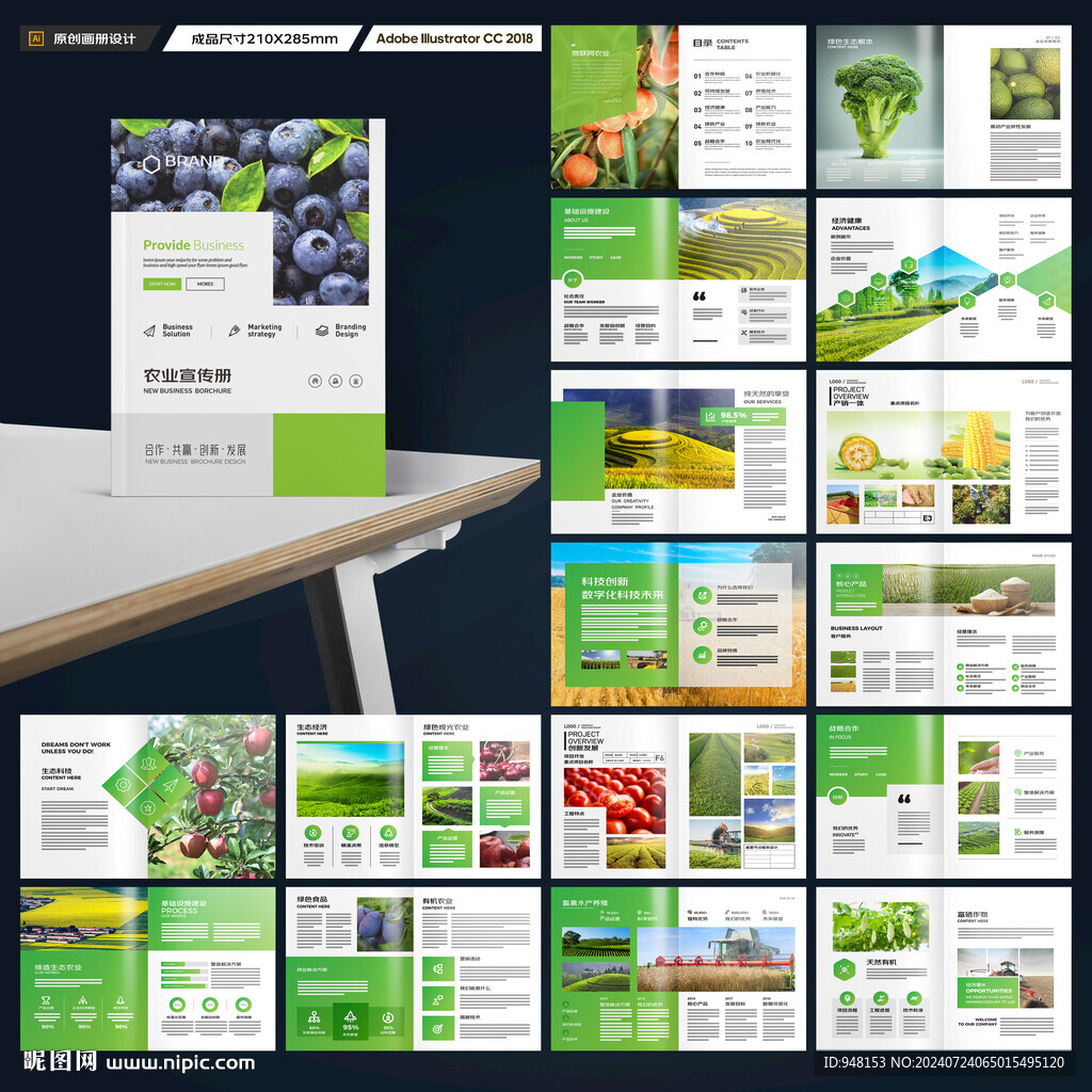 农业合作社画册