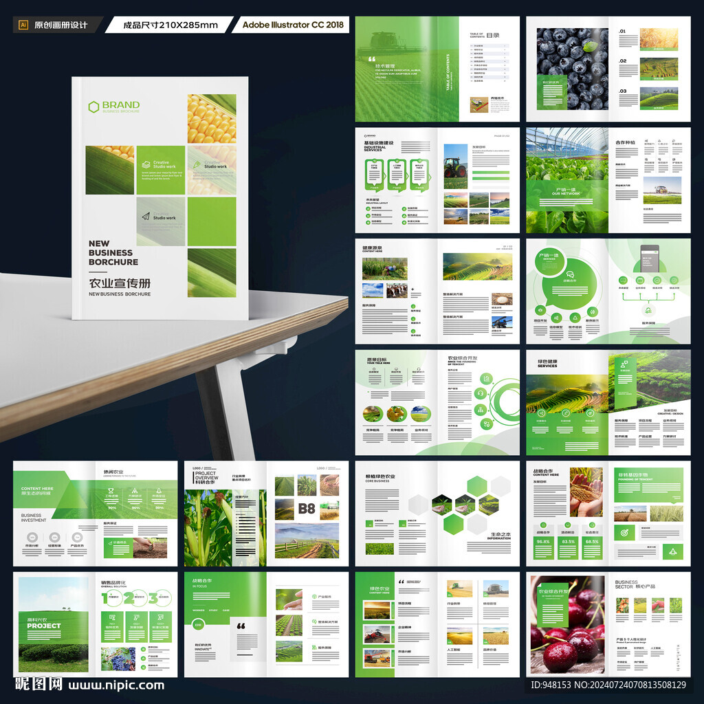 农产品画册