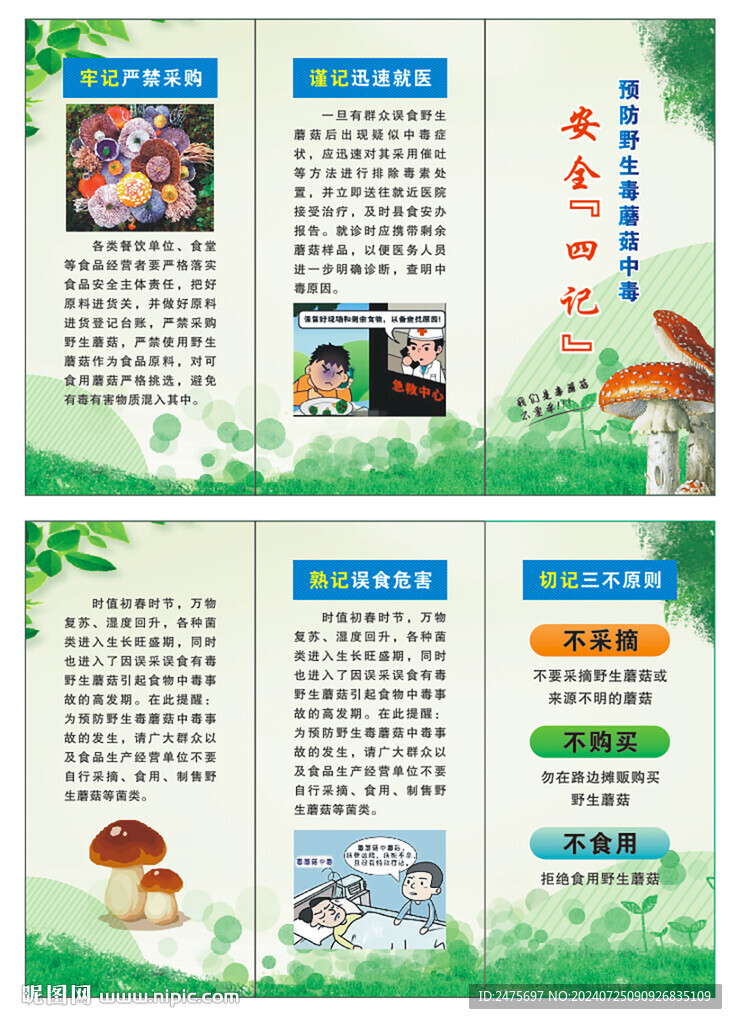 预防野生毒蘑菇
