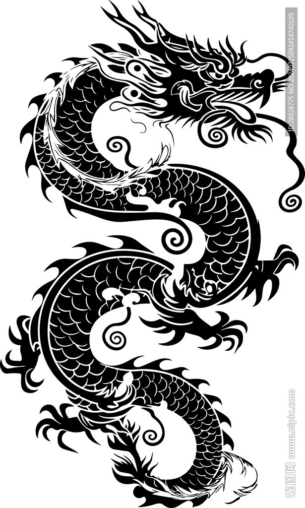 龙图案
