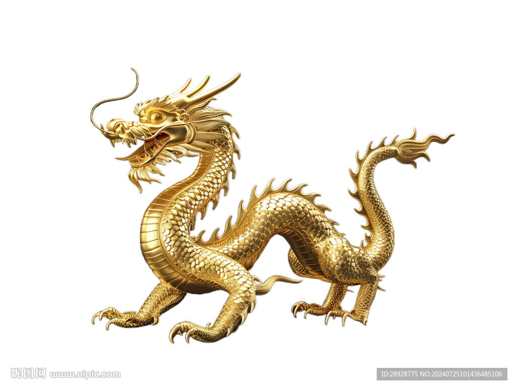 金龙