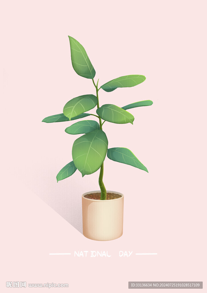 植物