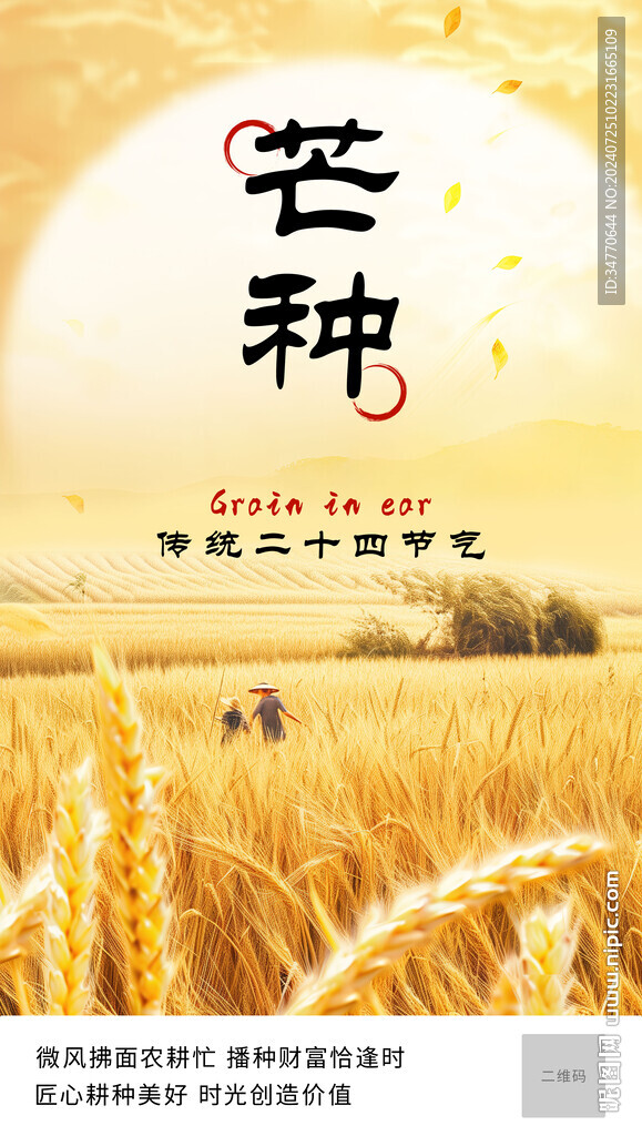 二十四节气芒种海报