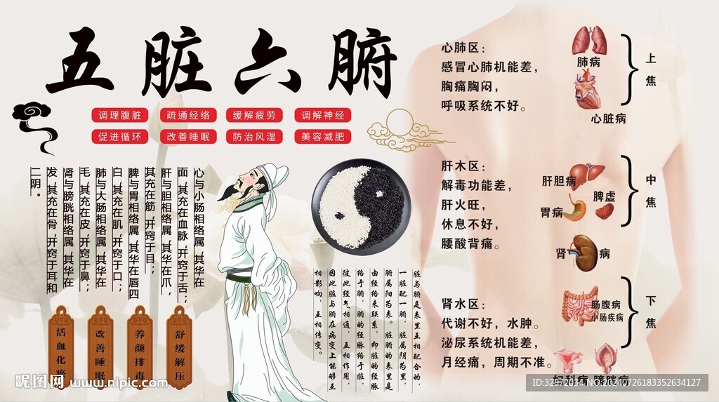 五脏六腑背景墙