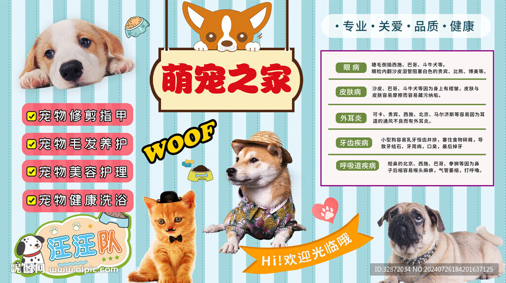 宠物护理美容工装墙