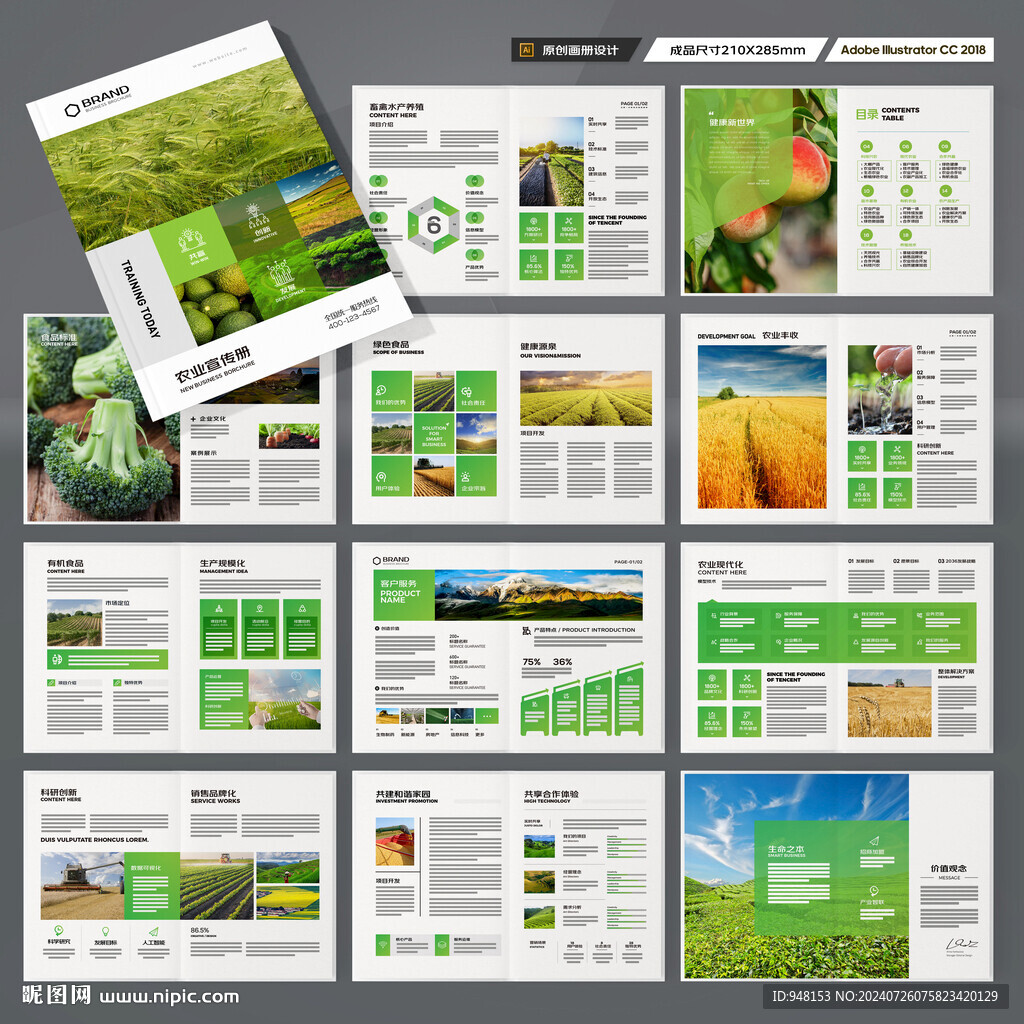 农业宣传册
