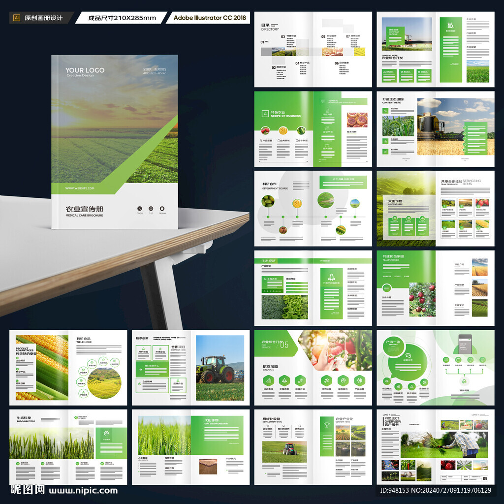 农产品宣传册