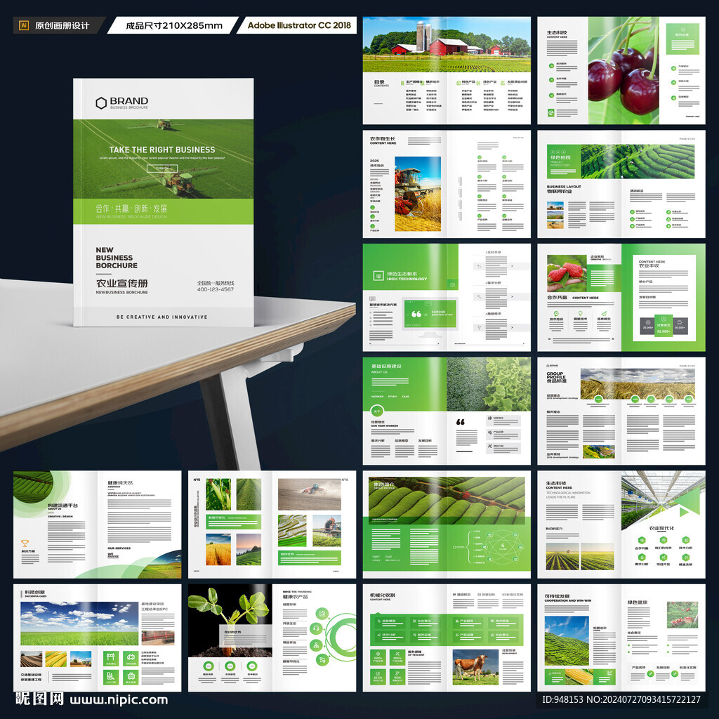 农产品宣传册