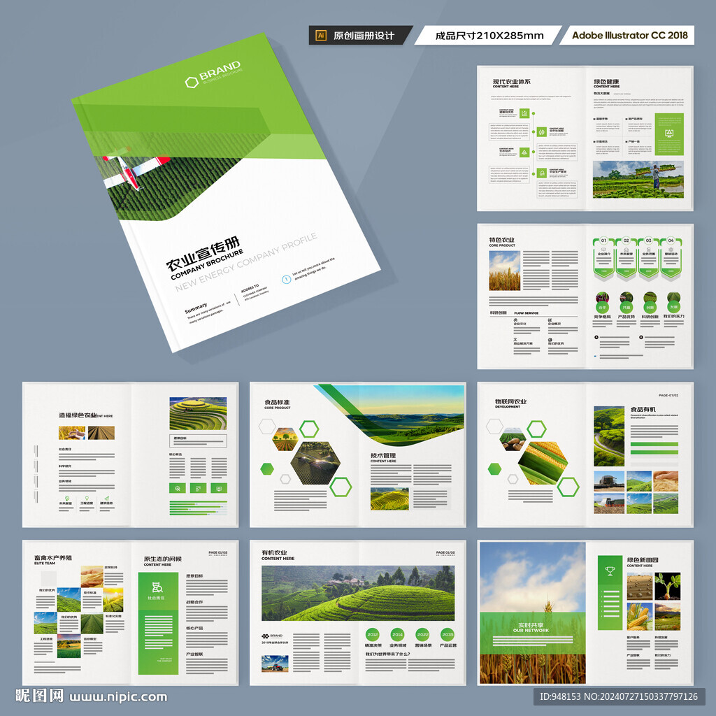 农产品宣传册