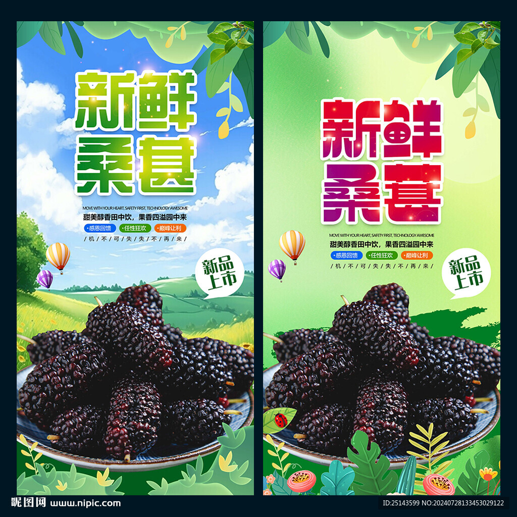桑葚