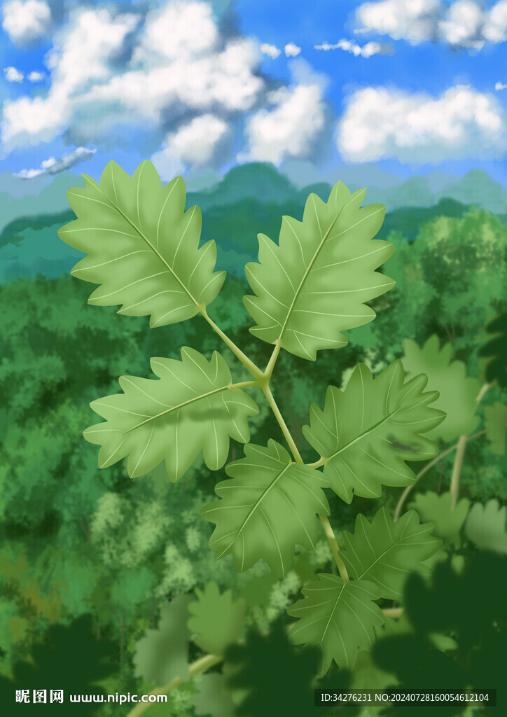 森林大背景psd分层素材