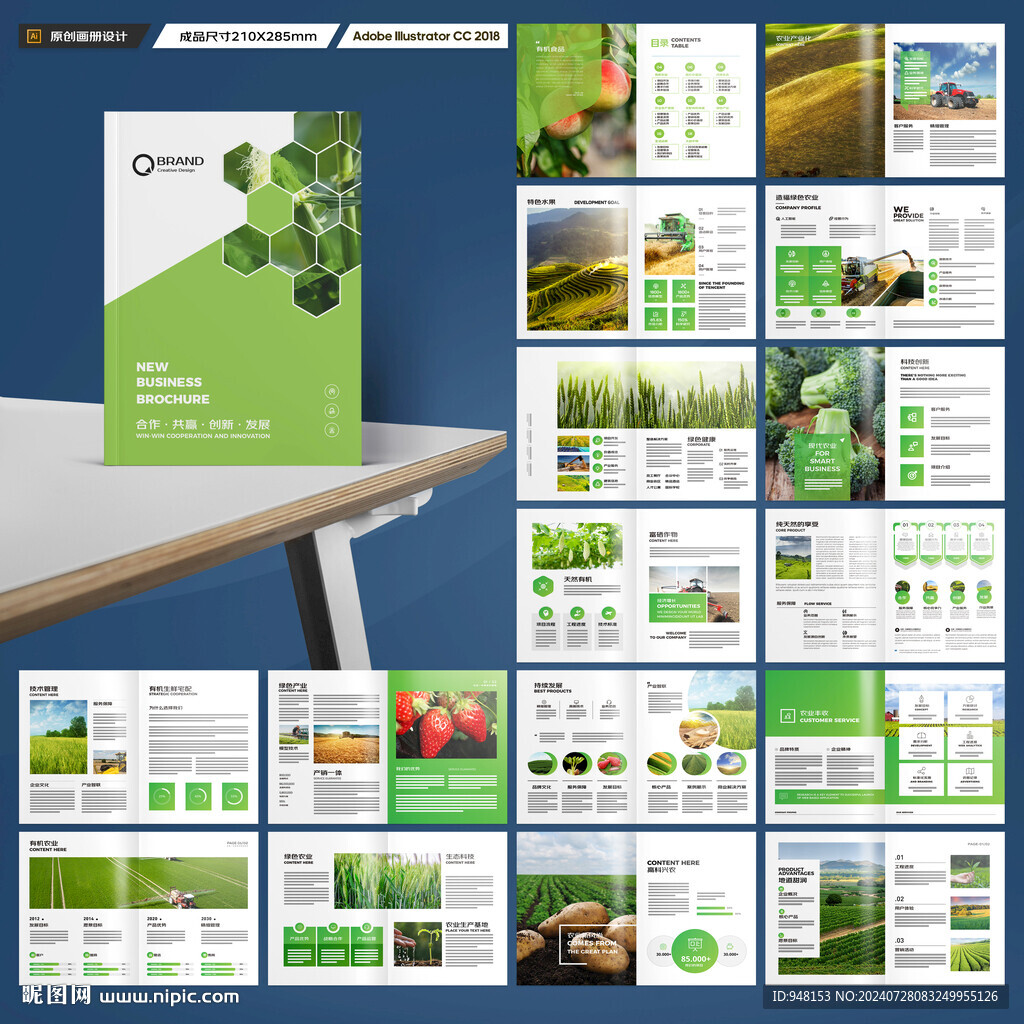 农产品宣传册
